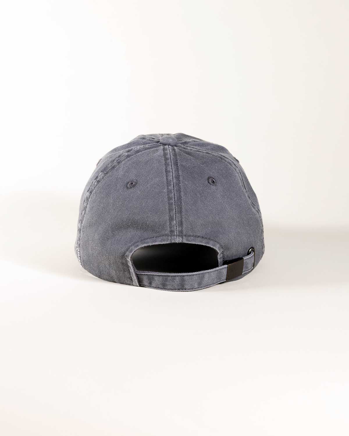 Wirth Wordmark Hat